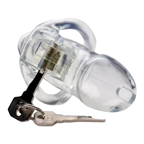 Clear plastic lock with two keys on a white background